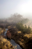 Patit_Creek_winter_fog_1