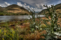 nwas_snake_river_0007
