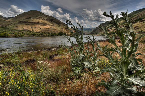 nwas_snake_river_0007