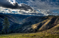 nwas_blue_mountains_0003