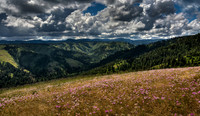 nwas_blue_mountains_0013