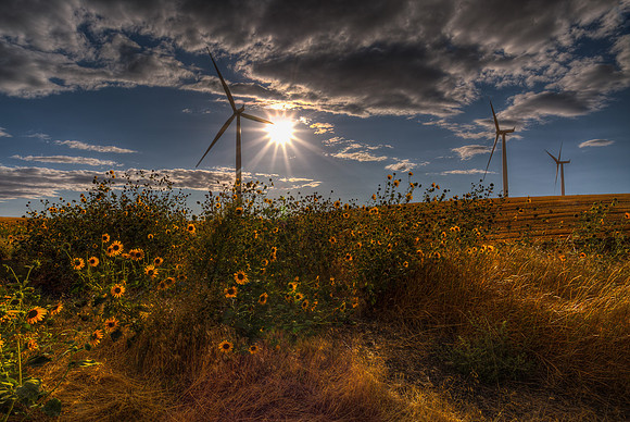 nwas_windfarms_0025