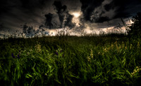nwas_blue_mountains_0016