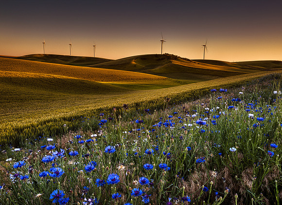 nwas_windfarms_0018