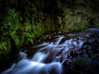 nwas_blue_mountains_0017