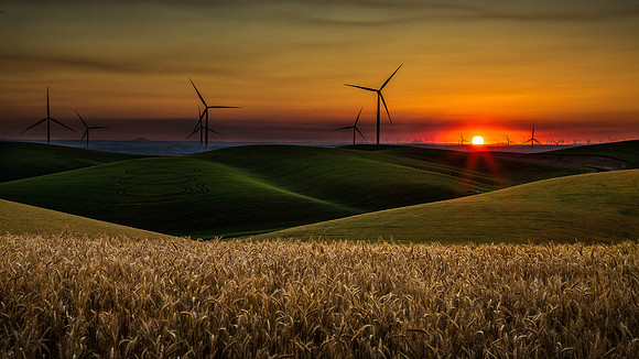 nwas_windfarms_0035