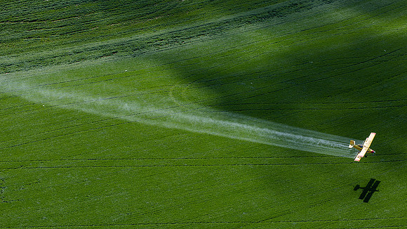 nwas_palouse_0021
