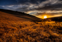 nwas_palouse_0031