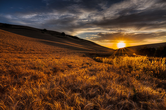 nwas_palouse_0031