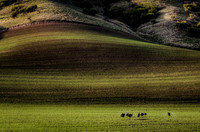 nwas_palouse_nature_0013