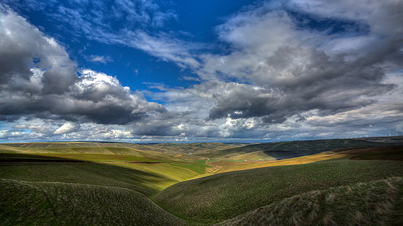 nwas_palouse_0004
