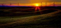 nwas_palouse_0077