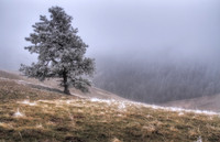 nwas_blue_mountains_0004