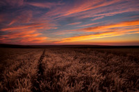 nwas_palouse_0027