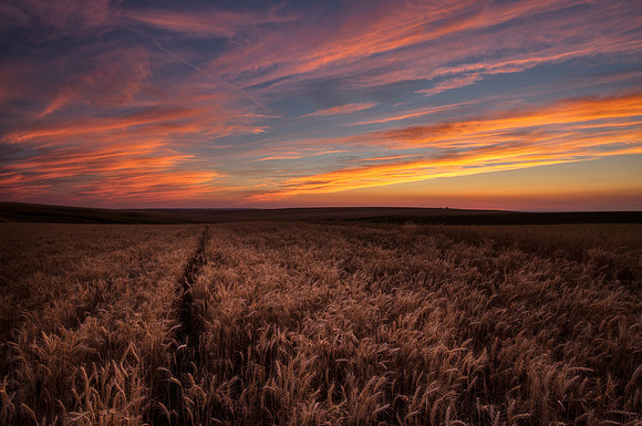 nwas_palouse_0027