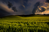 nwas_palouse_0025