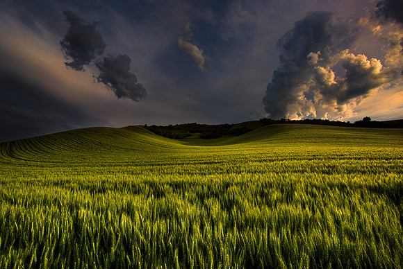 nwas_palouse_0025