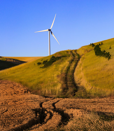 nwas_windfarms_0038
