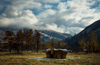nwas_blue_mountains_0019