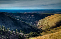 nwas_blue_mountains_0009