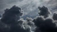 Flight and Flying
