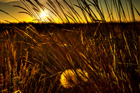 nwas_palouse_nature_0003