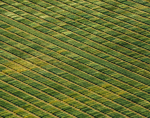 nwas_aerial_landscape_0085