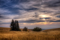 nwas_palouse_0033