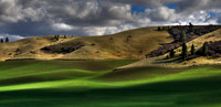 nwas_palouse_0005