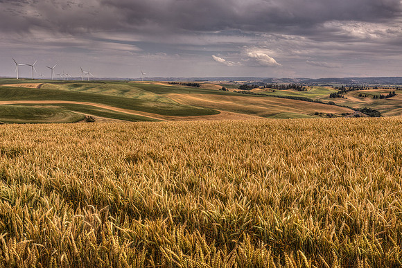 nwas_windfarms_0022