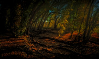 nwas_clearwater_river_0009