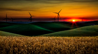 nwas_palouse_0074