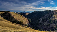 nwas_blue_mountains_0010