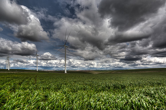 nwas_windfarms_0015