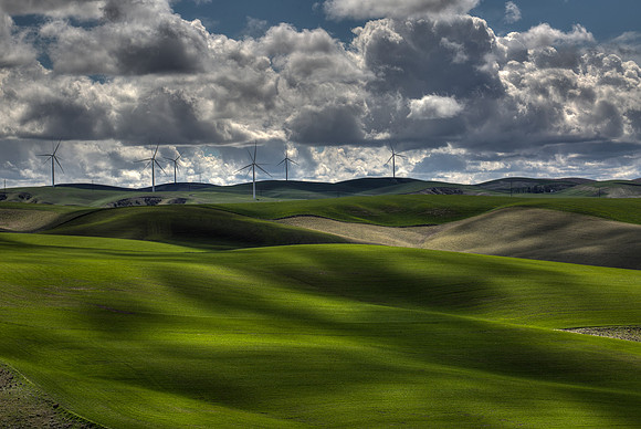 nwas_windfarms_0014