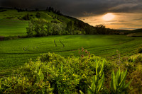 nwas_palouse_0022