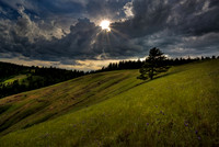 nwas_blue_mountains_0015