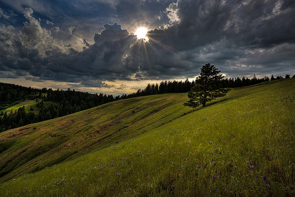 nwas_blue_mountains_0015