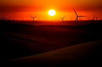 nwas_palouse_0073