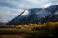 nwas_blue_mountains_0020