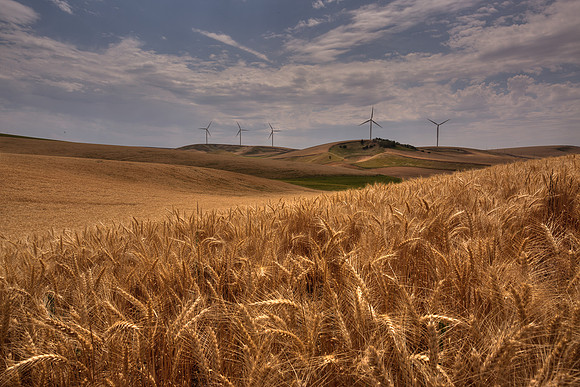 nwas_windfarms_0021