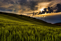 nwas_palouse_0024